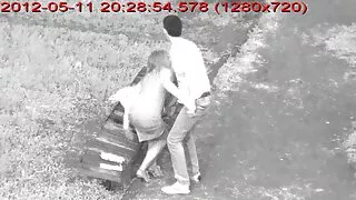 Маш мэргэжлийн хар үстэй галзуугийн үед хийц