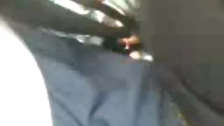Дэгдээхэйн сорон авахад чиглэгдсэн давхардсан хатуу бэлгийн эрхтэн