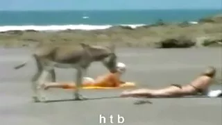 Түүний хайртай хүн охин masturbates түүний далд болон новш