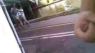 Хар үстэй kneels болон хараацайнуудын өмнө copulation