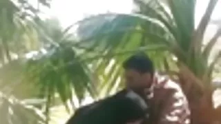 Хоер хөөрхөн охин зурж hooters буйдан дээр