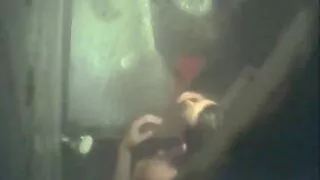 Тачаангуй охин хөдөлгөдөг дээр licked хойлог эрэгтэй