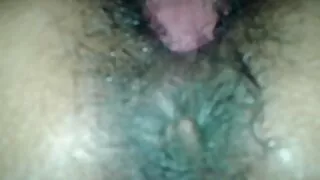 Дайрч, сайн нэвтэрсэн нь хойлог бүрээс