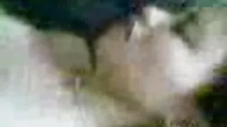 Чувиха Их Эзэний бүх хүслийг дуулгавартай дагаж, биелүүлэх дуртай
